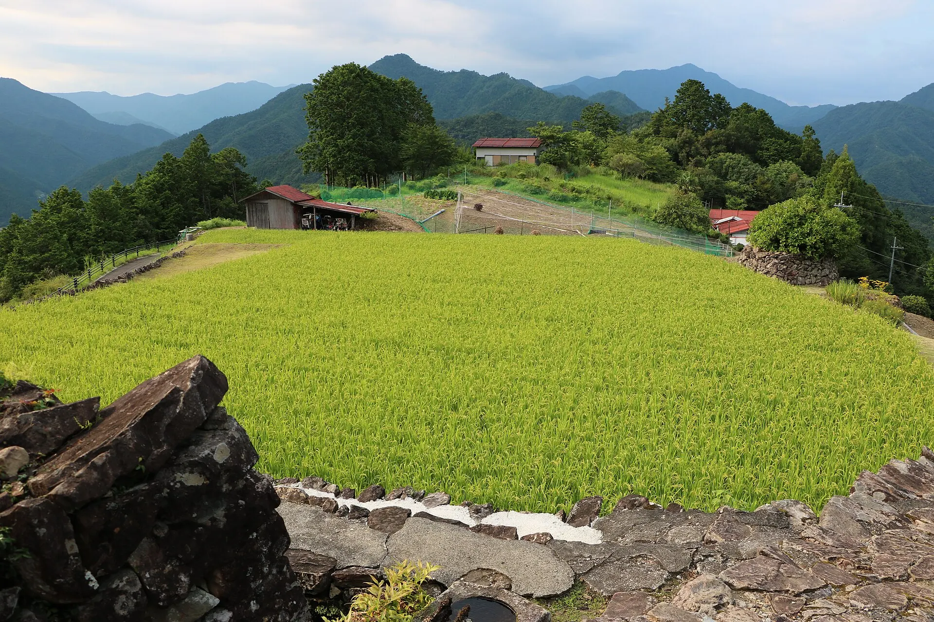 奈良県十津川村・果無集落の棚田