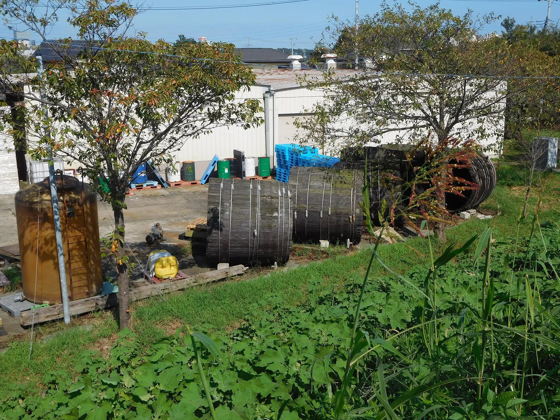 土浦・柴沼醤油の木桶
