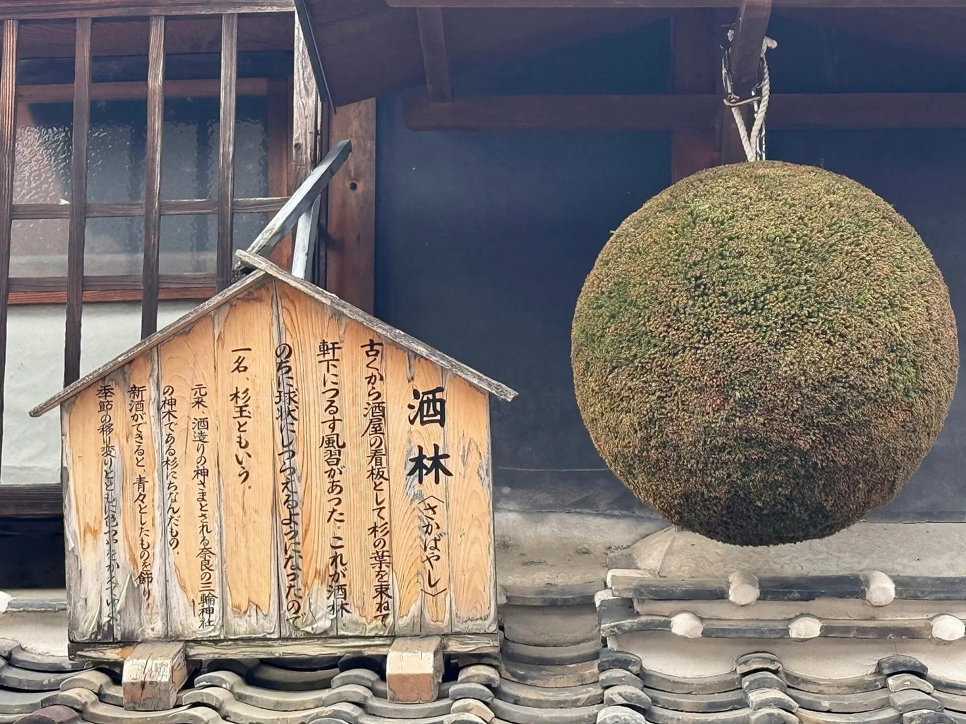 千代の園酒造の軒先に吊るされた杉玉