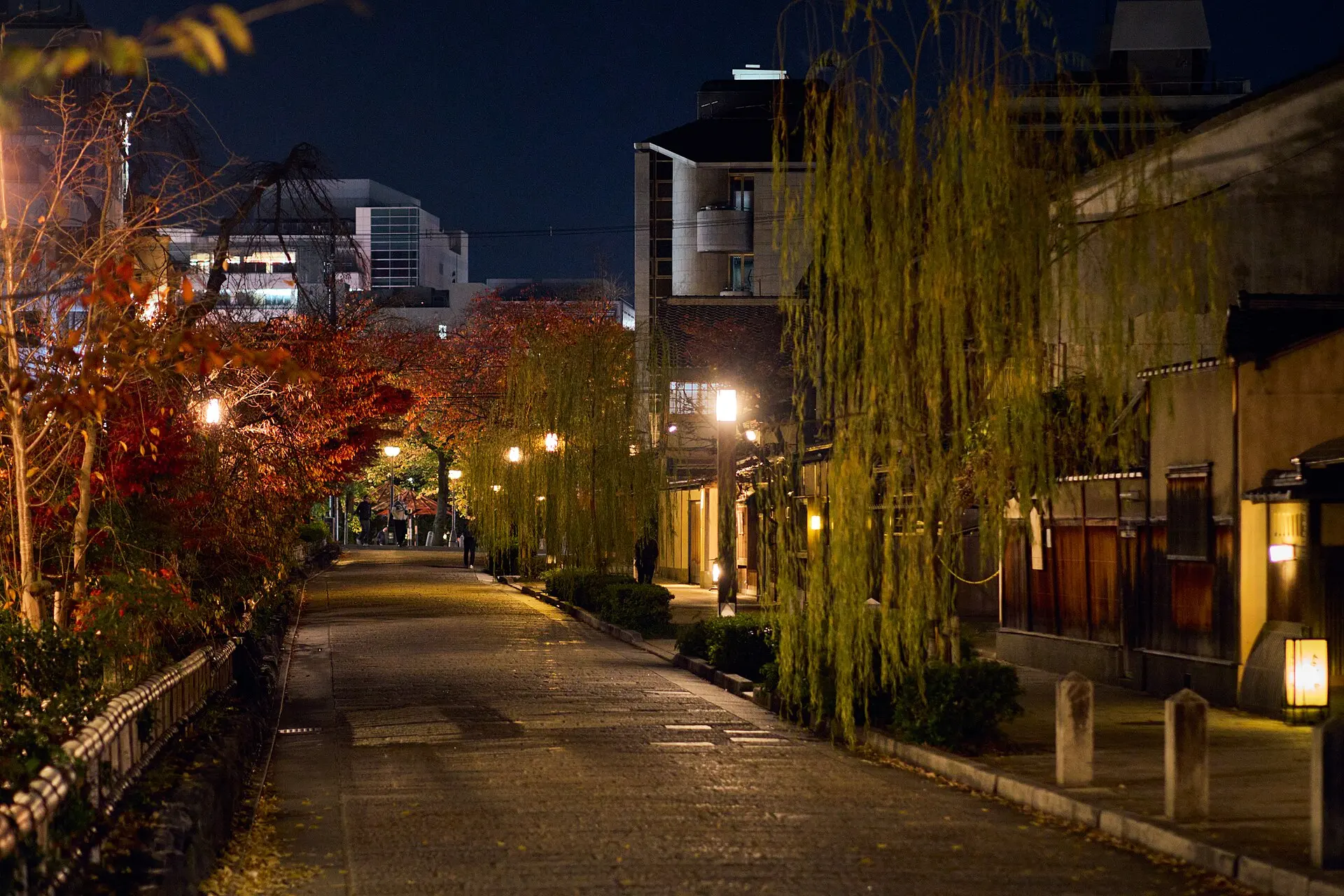柳と紅葉、町家の並ぶ夜の祇園の石畳