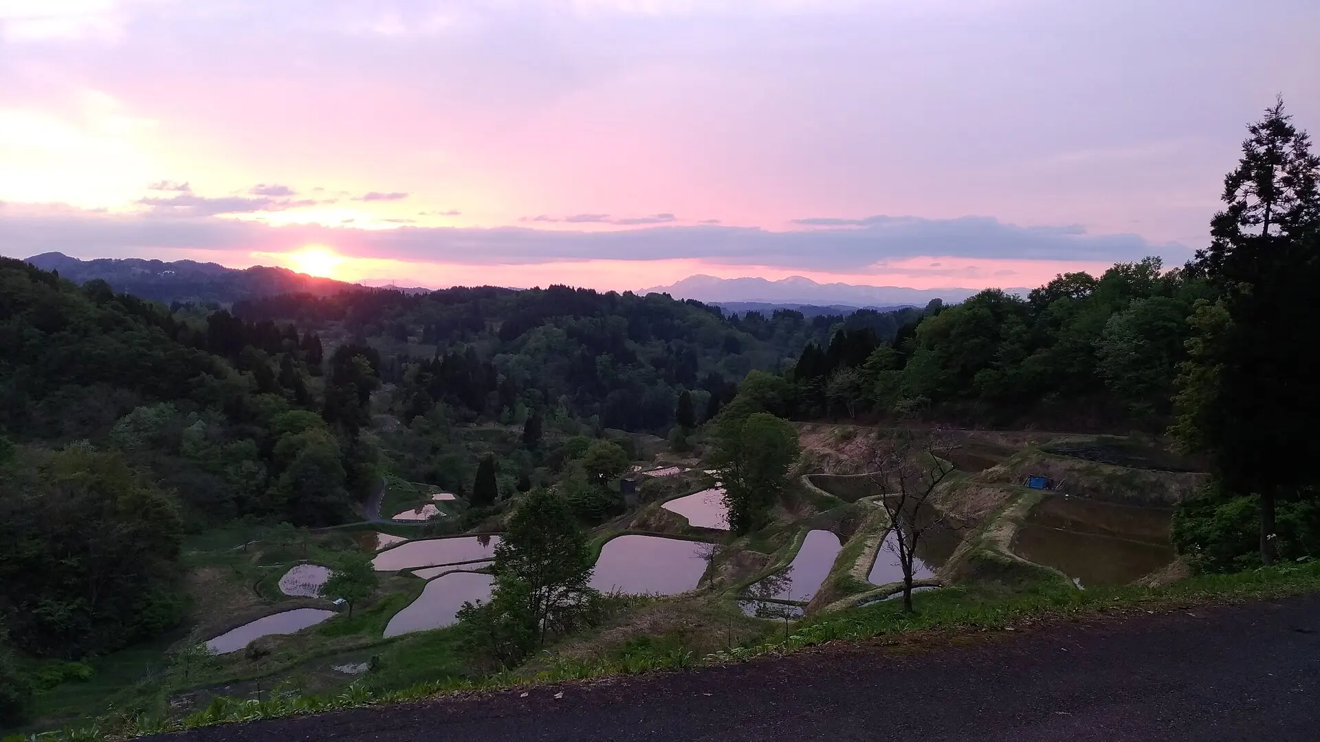 日の出の蒲生の棚田(十日町)